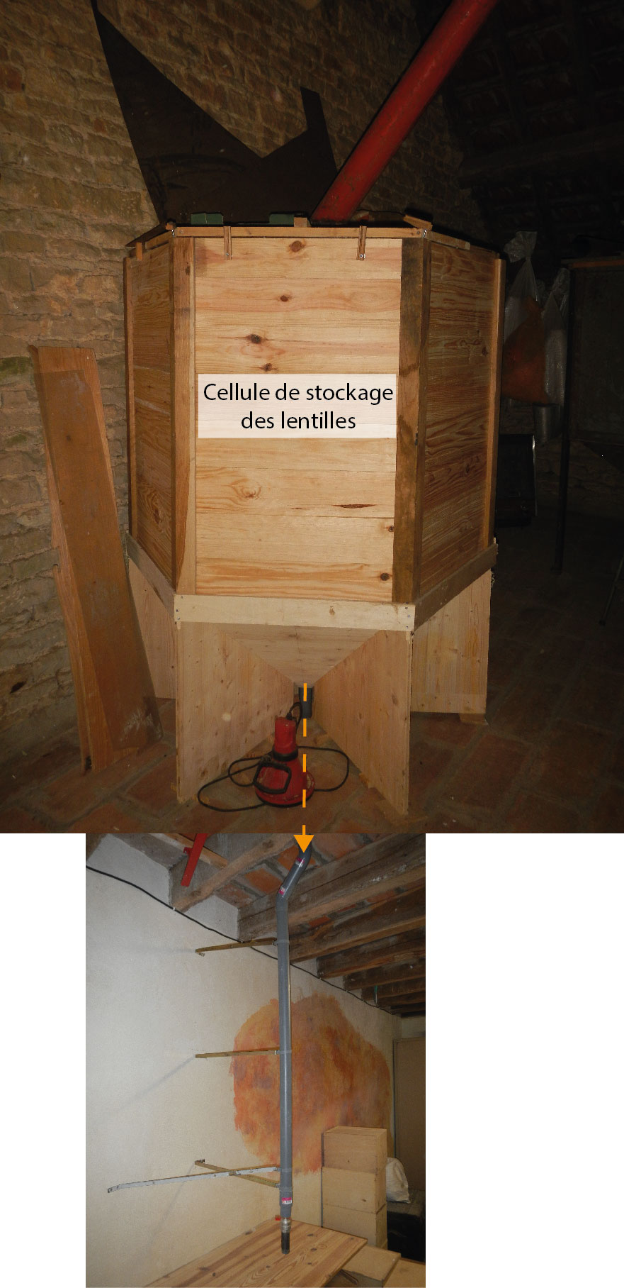 Stockage et ensachage des lentilles.jpg