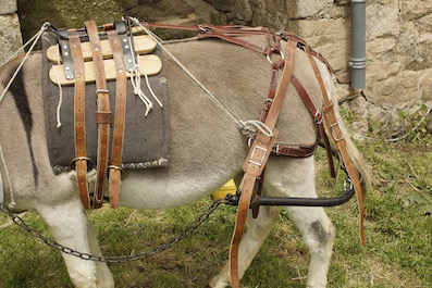 grand vall bas cul.jpg