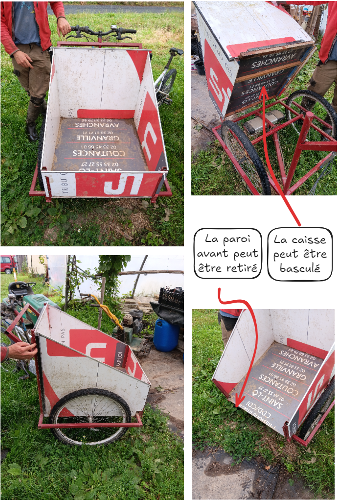 Focus velo 2.png