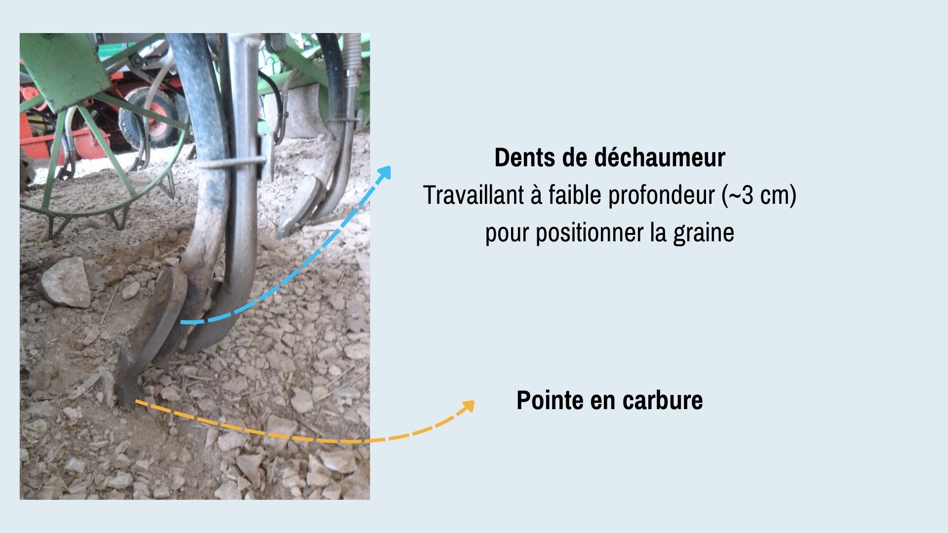 4.Zoom sur une dent.jpg