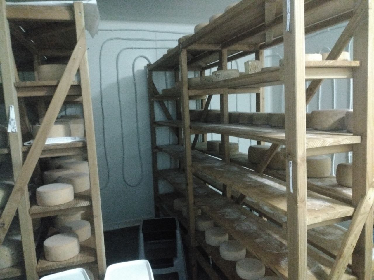 Photo de l'intérieur de la cave.