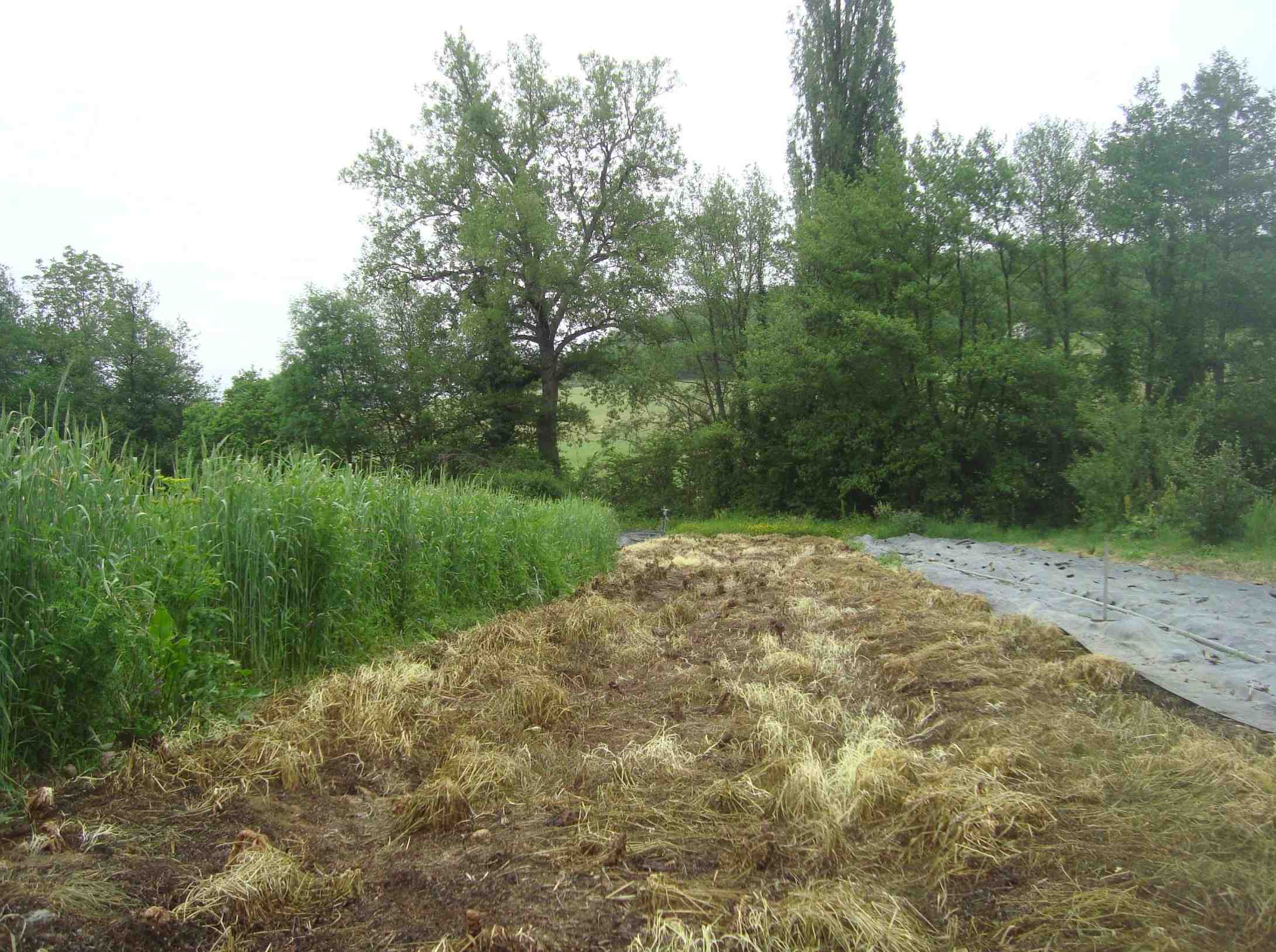 après bâchage.jpg