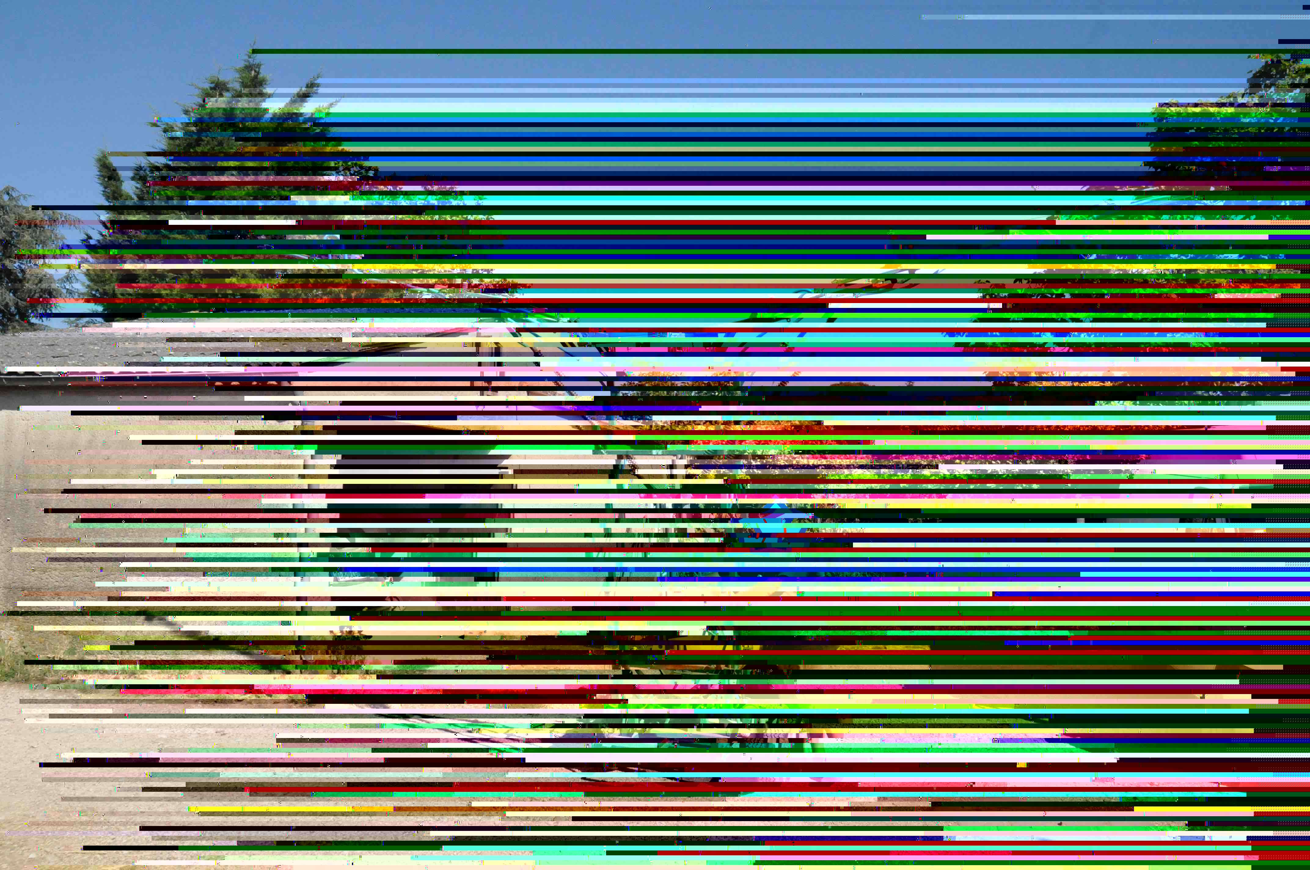 ensemble.jpg