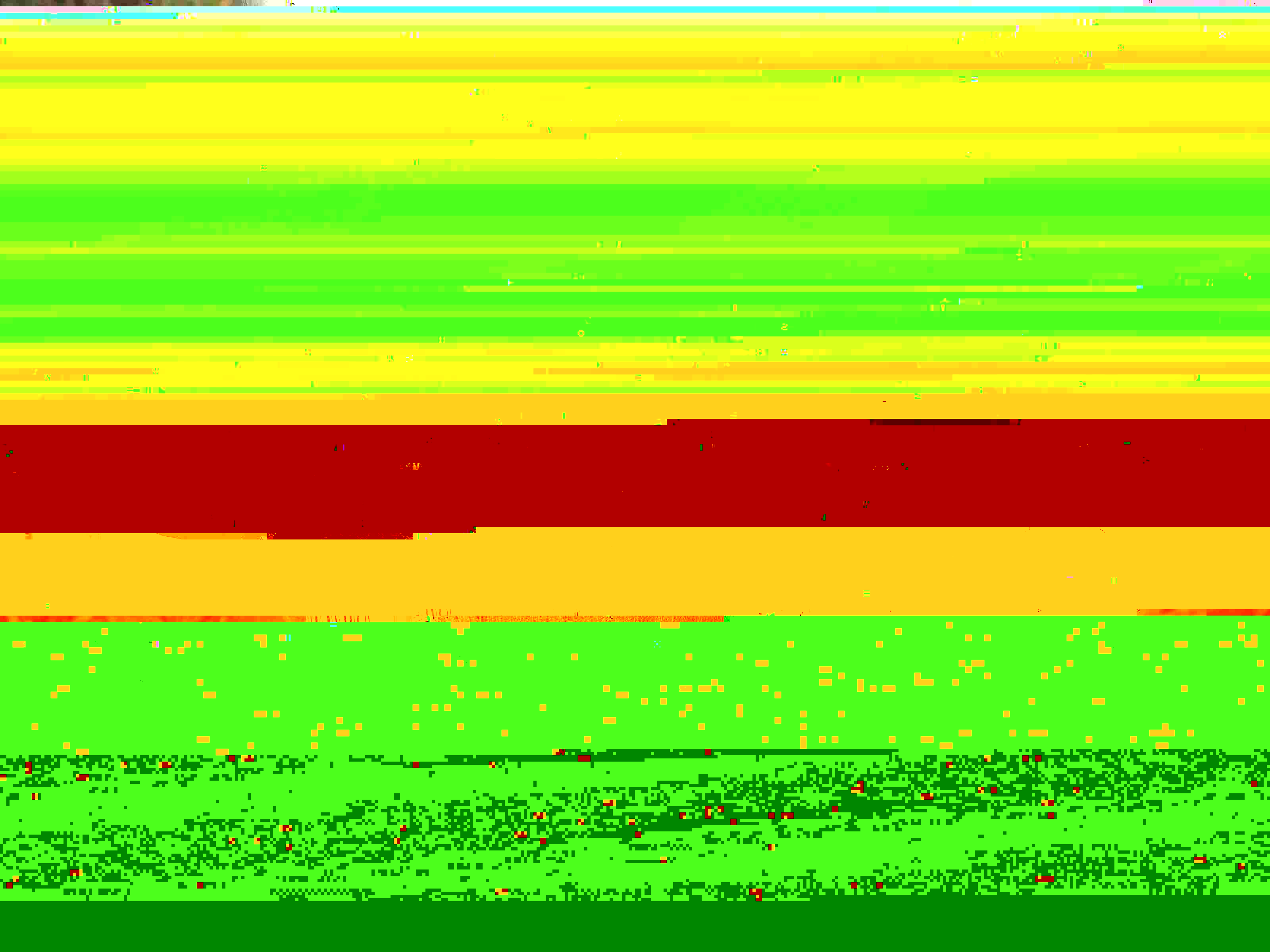 P2110026-1.jpg