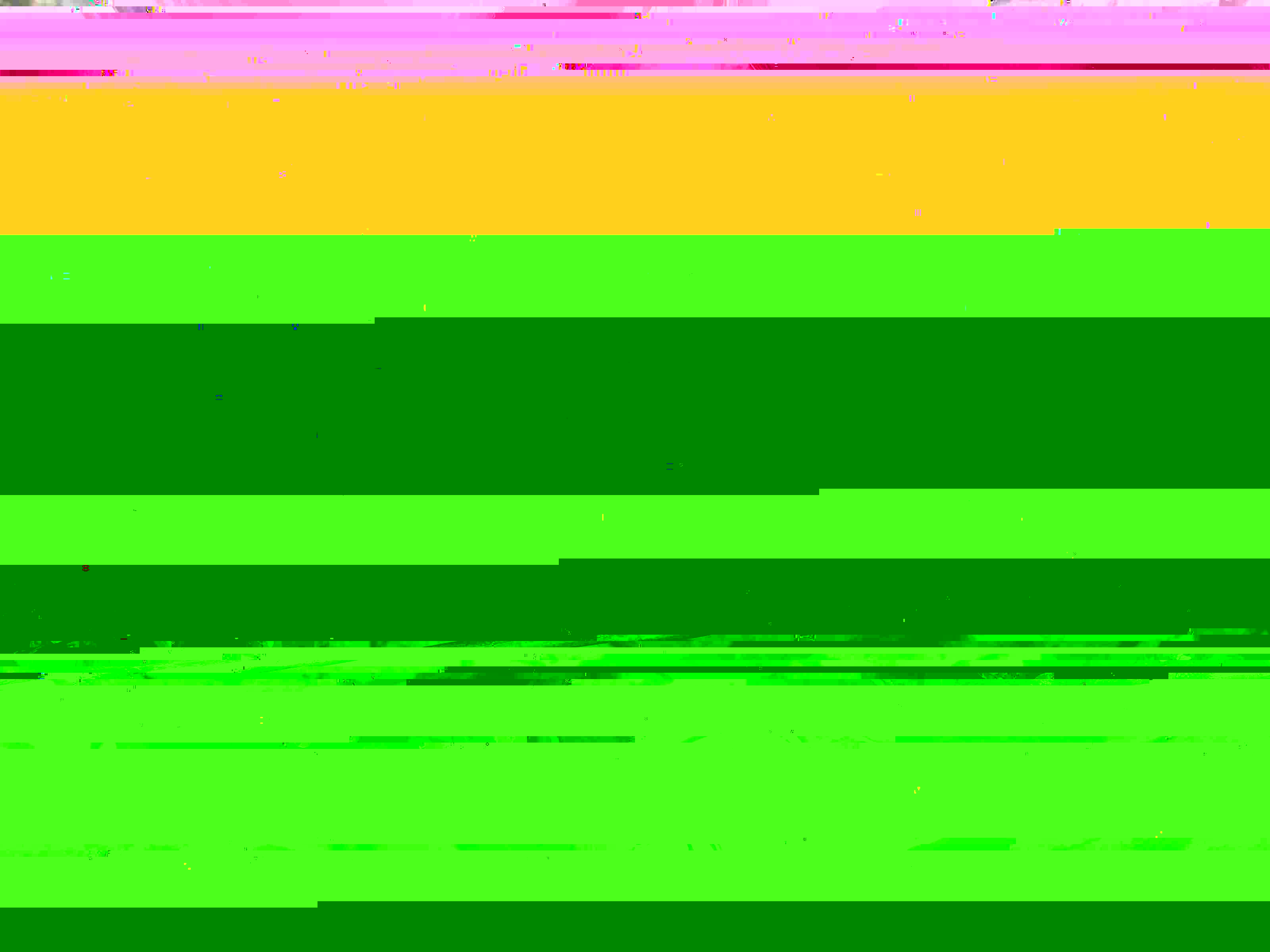 P2110045-1.jpg